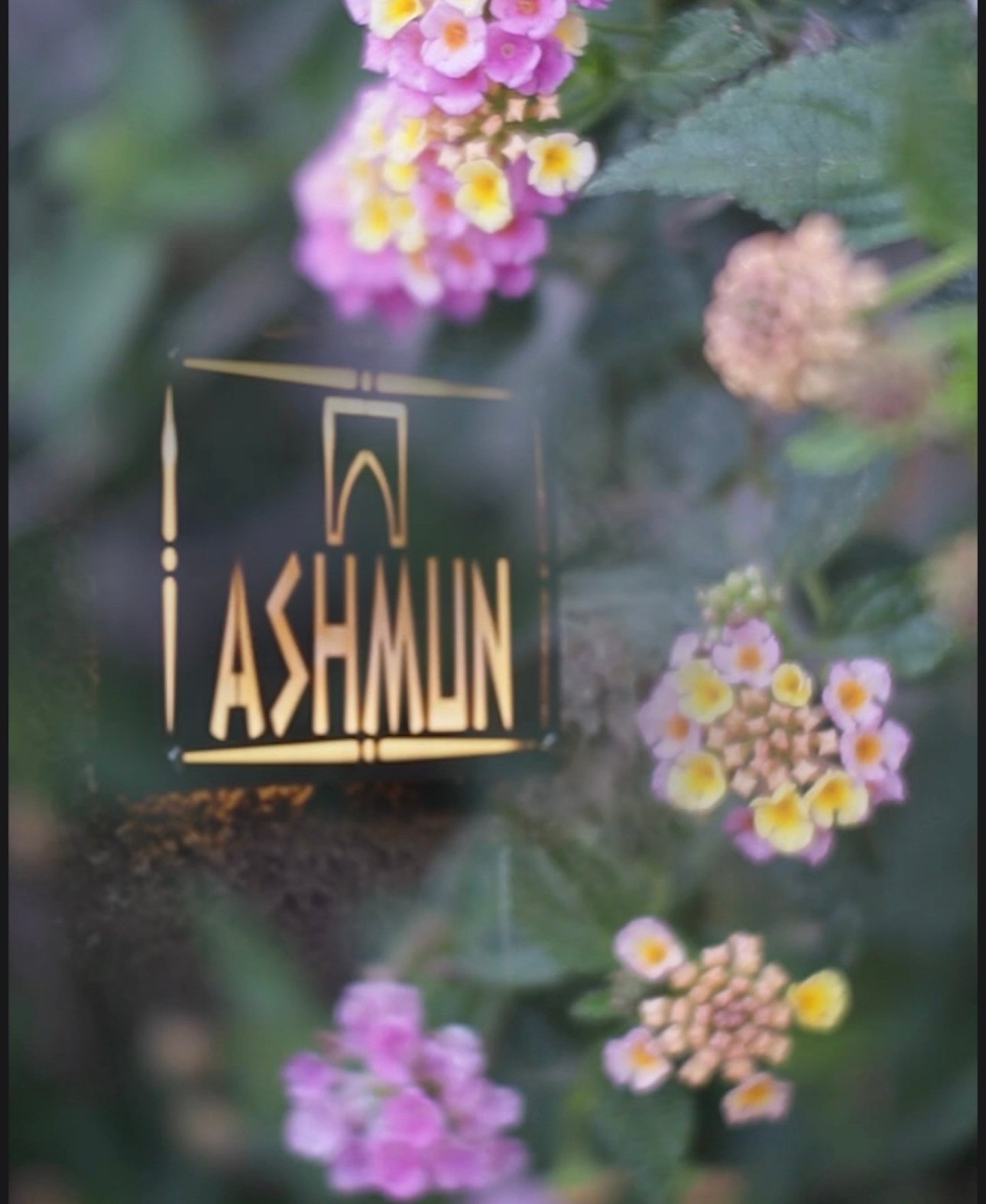 ASHMUN Guest House